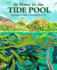 At Home in the Tide Pool