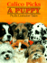 Calico Picks a Puppy