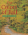The Colors of Fall Road Trip Guide
