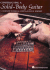 Constructing a Solid-Body Guitar: a Complete Technical Guide