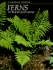 Ferns to Know and Grow