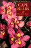 Cape Bulbs