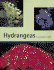 Hydrangeas: a Gardener's Guide