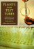 Plants From Test Tubes: Introduction to Micropropagation