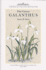 The Genus Galanthus (Botanical Magazine Monograph)