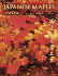 Japanese Maples, Momiji and Kaede: Momiji and Keade