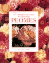 Gardener's Guide to Growing Peonies