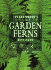 The Plantfinder's Guide to Garden Ferns (Plantfinder's Guide to Growing Series)