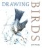 Drawing Birds