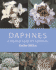Daphnes: a Practical Guide for Gardeners