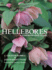Hellebores: a Comprehensive Guide