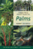Timber Press Pocket Guide to Palms (Timber Press Pocket Guides)
