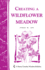 Creating a Wildflower Meadow: Storey's Country Wisdom Bulletin a-102