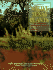 Native Texas Plants: Landscaping Region By Region