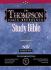 Thompson Chain-Reference Study Bible New International Version: Handy Size, Burgundy Bonded Leather