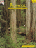 Redwood: the Story Behind the Scenery