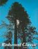 Redwood Classic