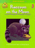School Zone-Raccoon on the Moon, Start to Read! � Book Level 3-Ages 6 to 7, Rhyming, Early Reading, Vocabulary, Simple Sentence Structure, and More (School Zone Start to Read! � Book Series)