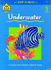 School Zone Underwater, Start to Read! Book Level 1: 16 Pages, Kindergarten, Reading Book, Sight Words, Rhyming, Vocabulary, Sentence Structure, Ages 4-6 (Start to Read! Book Series)