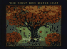 The First Red Maple Leaf