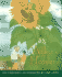 Aiko's Flowers