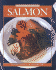 Salmon: Recipes From Canada's Best Chefs (Flavours Cookbook)