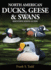 North American Ducks, Geese and Swans: an identification guide