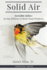 Solid Air: Invisible Killer-Saving Billions of Birds From Windows
