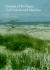 Grasses of the Texas Gulf Prairies and Marshes (W. L. Moody Jr. Natural History Series)
