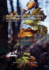 North American Agroforestry: an Integrated Science and Practice, Second Edition
