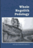 Whole Regolith Pedology (S S S a Special Publication)