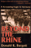 Beyond the Rhine: a Screaming Eagle in Germany