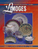 American Limoges: Identification & Value Guide