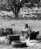 Jeff Wall: Exposure