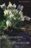 Homeopathy for Menopause Format: Paperback