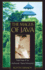 The Magus of Java: Teachings of an Authentic Taoist Immortal