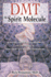 Dmt: the Spirit Molecule: a Doctor's Revolutionary Research Into the Biology of Near-Death and Mystical Experiences