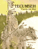 Tecumseh: Shawnee War Chief (Native American Biographies)