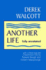 Another Life