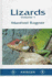 Lizards-Vol. 1: Husbandry and Reproduction in the Vivarium Geckoes, Flap-Footed Lizards, Agamas, Chameleons, and Iguanas