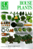 House Plants (Rd Home Handbook Series)