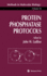 Protein Phosphatase Protocols (Methods in Molecular Biology, 93)