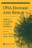 Dna Damage and Repair: Volume 2: Dna Repair in Higher Eukaryotes (Contemporary Cancer Research)