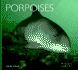 Porpoises