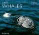 Gray Whales (World Life Library: Nature)
