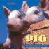 The Complete Pig: an Entertaining History of Pigs of the World