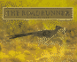 The Roadrunner