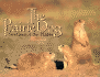 The Prairie Dog