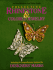 Collecting Rhinestone & Colored Stone Jewelry: an Identification & Value Guide (Collecting Rhinestone & Colored Jewelry)