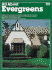 All about Evergreens